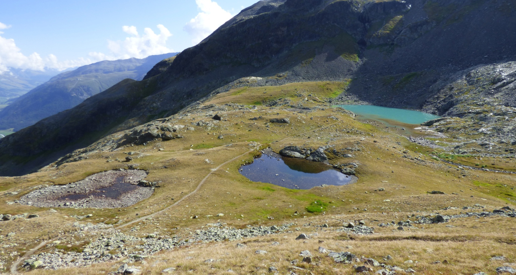 Bergsee Lej da l'Ova Cotschna (oua_604488540_image) Bergsee Lej da l'Ova Cotschna (oua_604488540_image)
