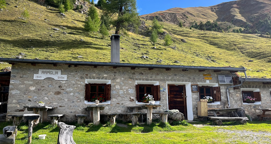 Alp Arpiglia (oua_604533077_image) Alp Arpiglia (oua_604533077_image)