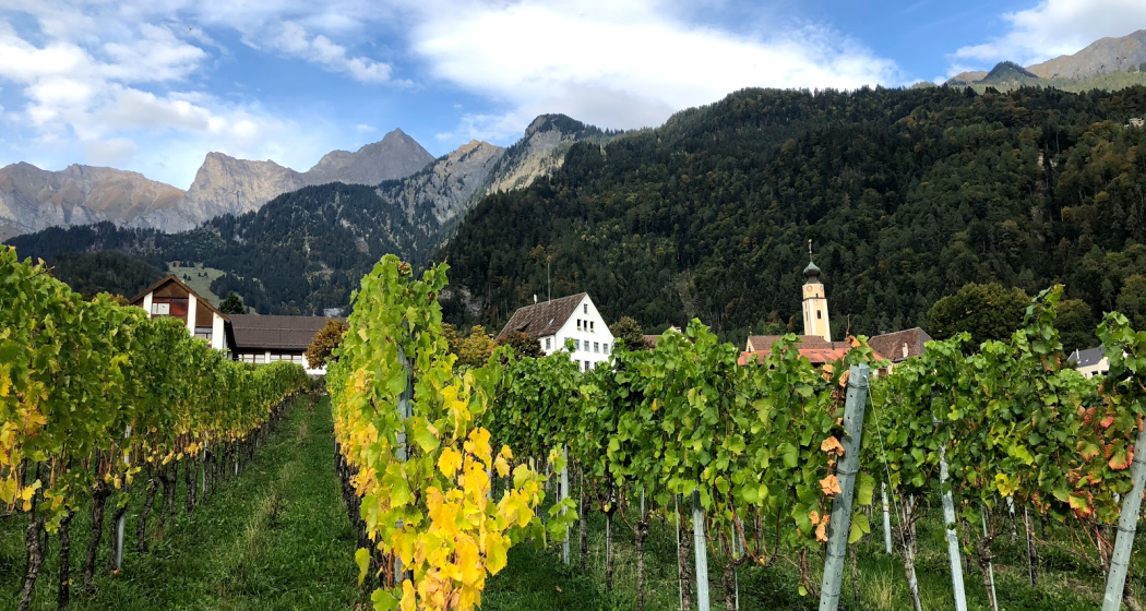 Jürg Obrecht Weine Jenins (oua_604535352_image) Jürg Obrecht Weine Jenins (oua_604535352_image)