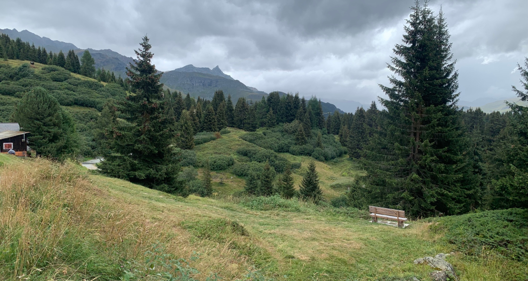 Wanderweg Alp Flix (zugänglich für Blinde) (oua_604892045_image) Wanderweg Alp Flix (zugänglich für Blinde) (oua_604892045_image)