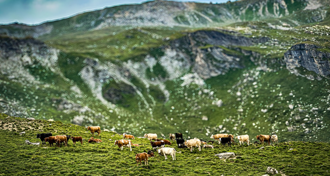 Von Somtgant nach Ausserferrera (oua_605029790_image) Von Somtgant nach Ausserferrera (oua_605029790_image)