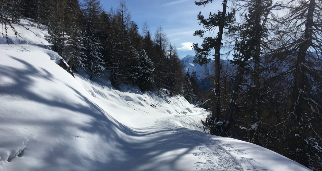 Von Lü geht es östlich in Richtung Alp Tabladatsch Von Lü geht es östlich in Richtung Alp Tabladatsch