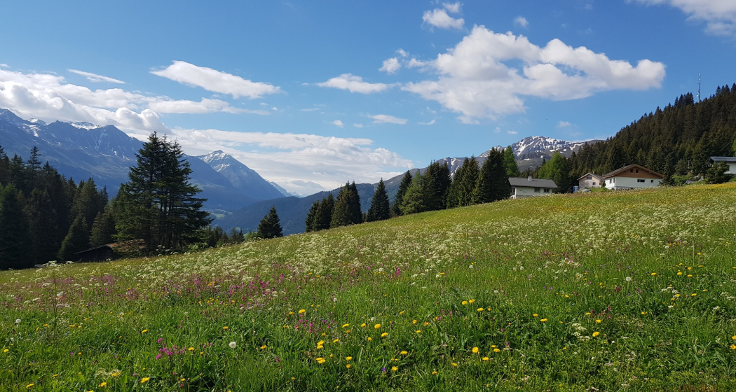 JST Mountain Drive Route - Edelweiss-Rundweg Tour