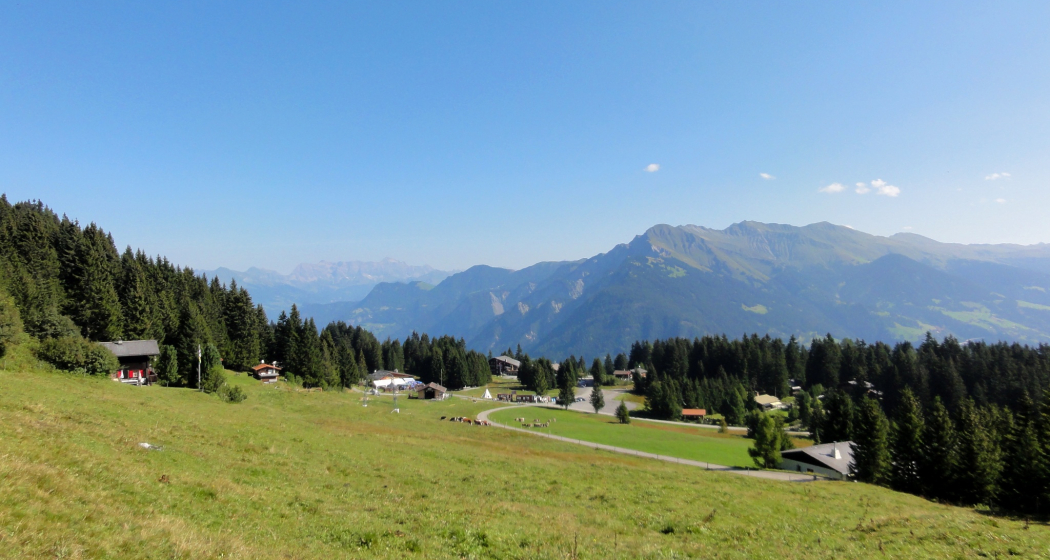 JST Mountain Drive Route - Edelweiss-Rundweg Tour