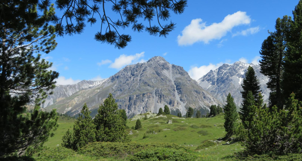 Buffalora - Jufplaun (oua_606870430_image)