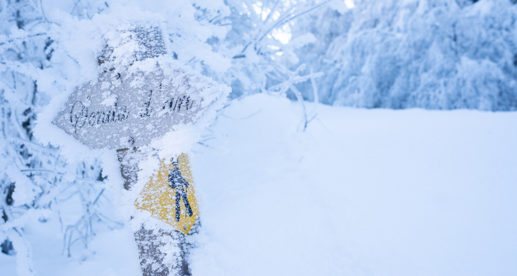 Wegweiser im Frost Wegweiser im Frost