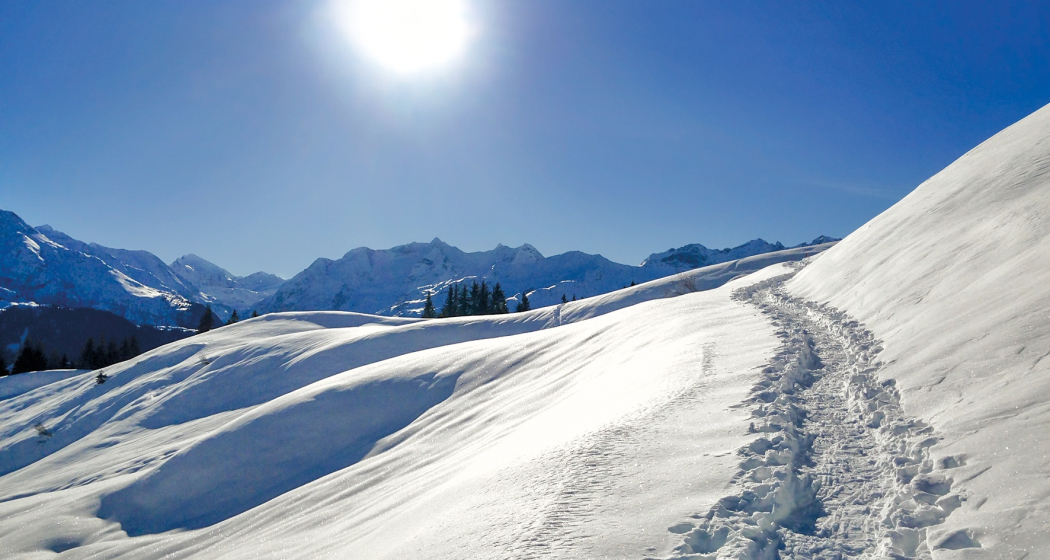 Im Aufstieg zum Cuolmet