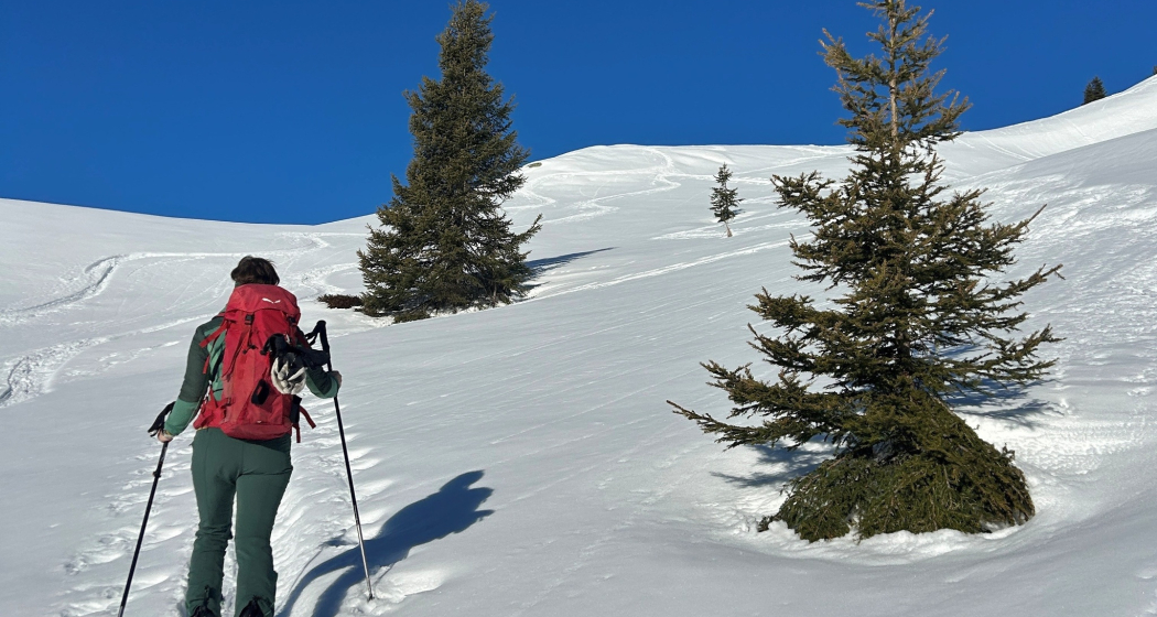Steter Aufstieg macht den Gipfelsieg