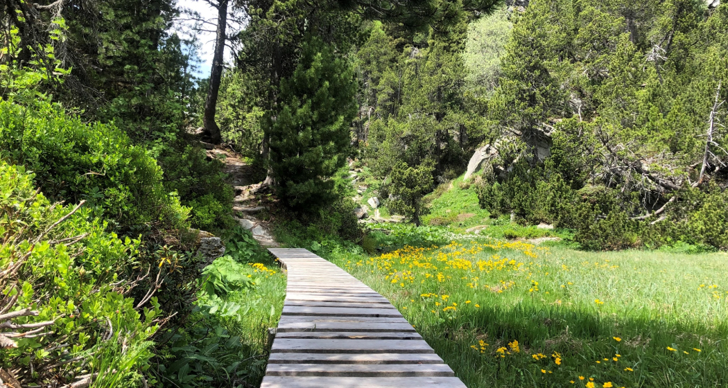Malögin bei Maloja Malögin bei Maloja