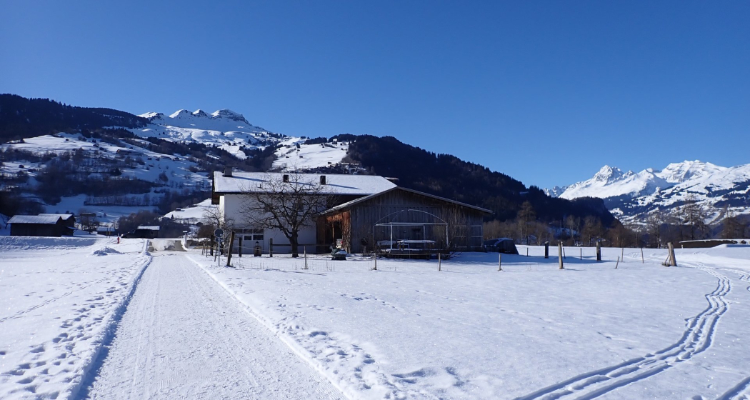 Sonnig und komfortabel bei Tschentaneras unterhalb von Sevgein Sonnig und komfortabel bei Tschentaneras unterhalb von Sevgein