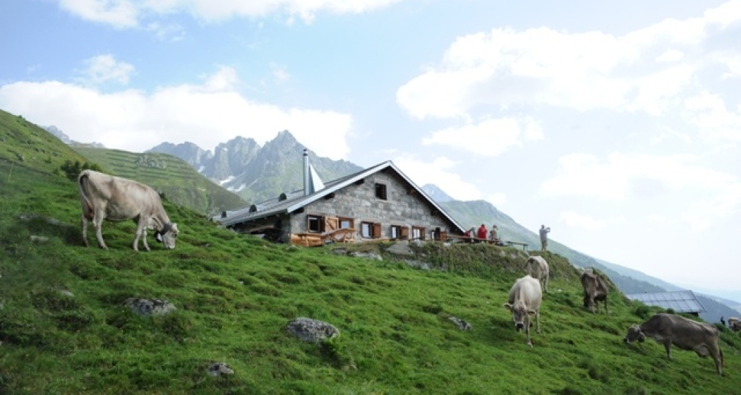 Berghütte Stalla Alp Glivers
