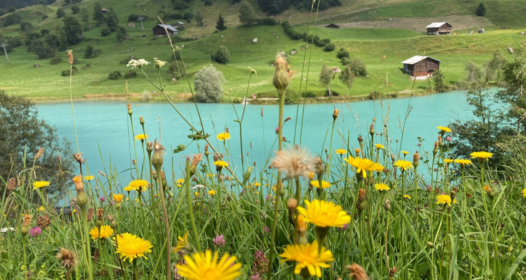Der Brigelser Stausee