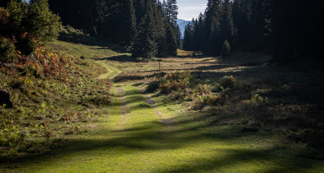 Bei Plaids nach Brigels Bei Plaids nach Brigels