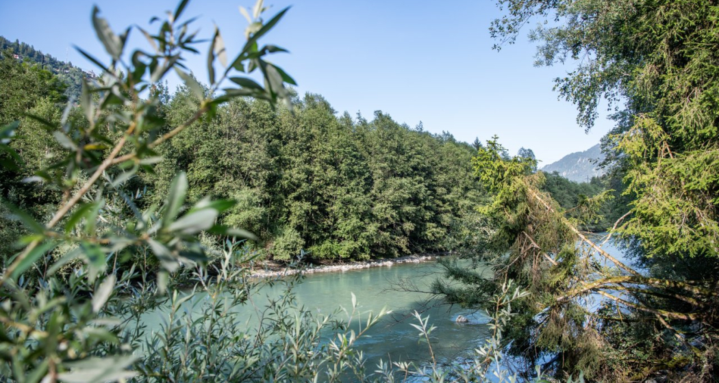 Rhein am Polenweg Rhein am Polenweg