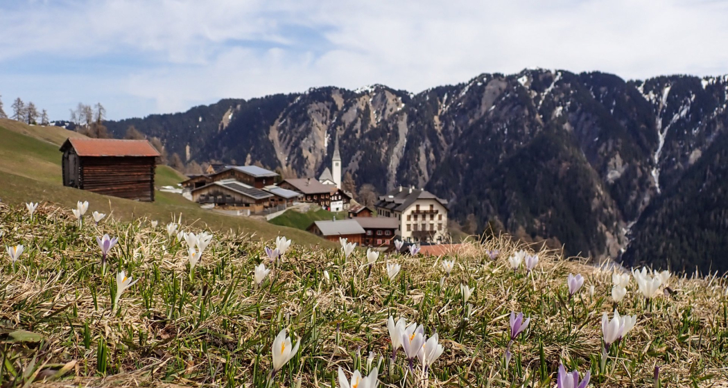 Tenna im Frühling Tenna im Frühling