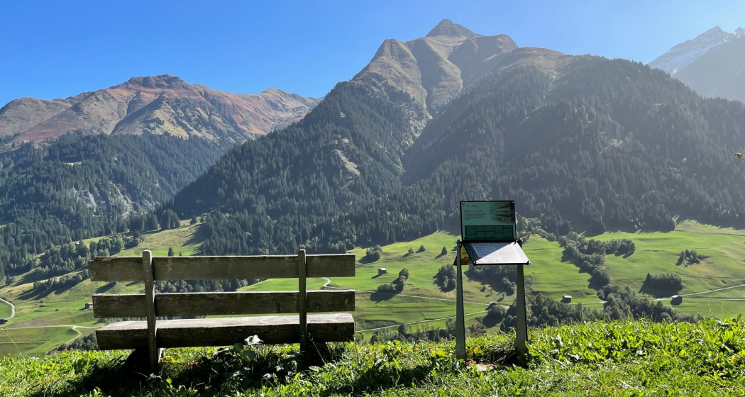 Al pei dil Pèz Regina