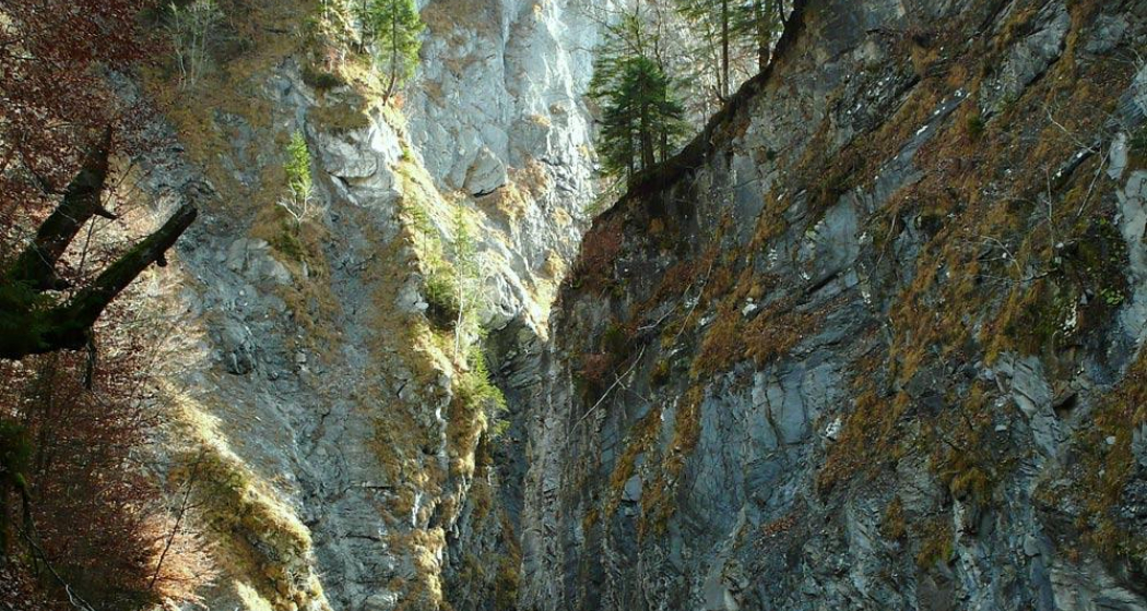 Wanderung Schraubachtobel Wanderung Schraubachtobel