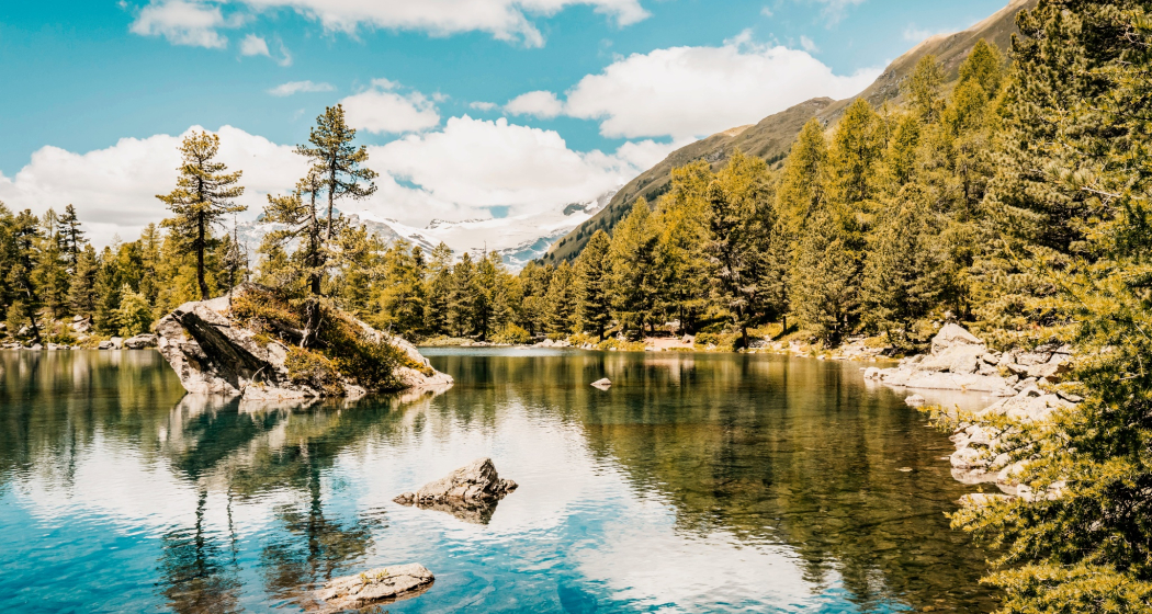 Val da Camp Val da Camp