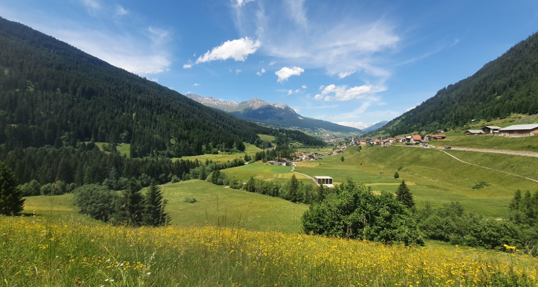 661 Rona Bike (oua_61148810_image)