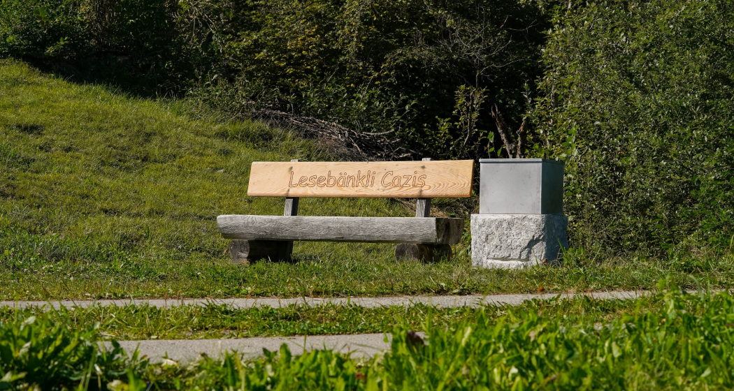 Lesebänkli Lescha (oua_611519462_image)