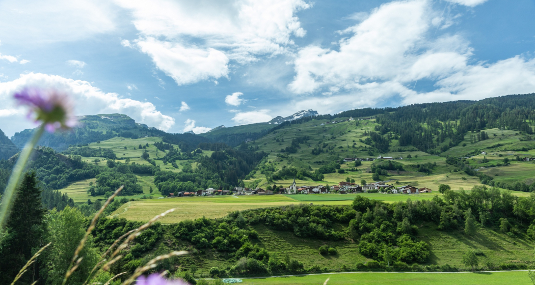 Donat (oua_611520111_image)