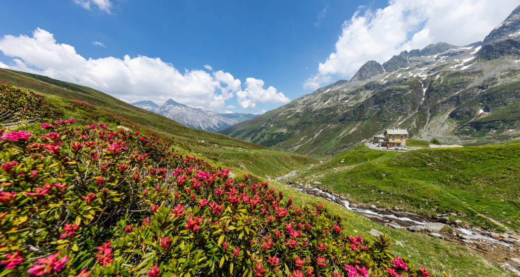 Berghaus Splügenpass (oua_611520190_image) Berghaus Splügenpass (oua_611520190_image)