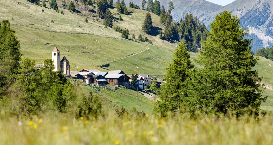 Lohn (oua_611520377_image) Lohn (oua_611520377_image)
