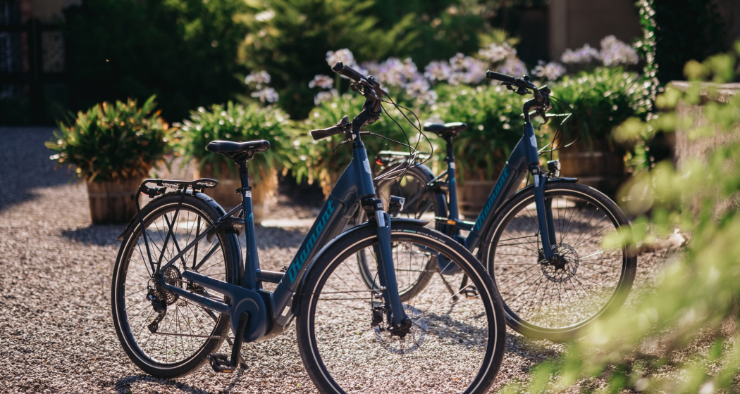 E-Bikes am Schloss Salenegg E-Bikes am Schloss Salenegg