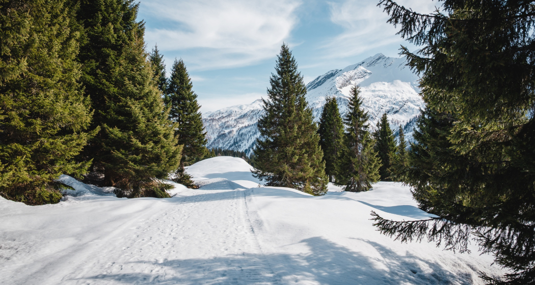 Furestin-Schneeschuhweg Furestin-Schneeschuhweg