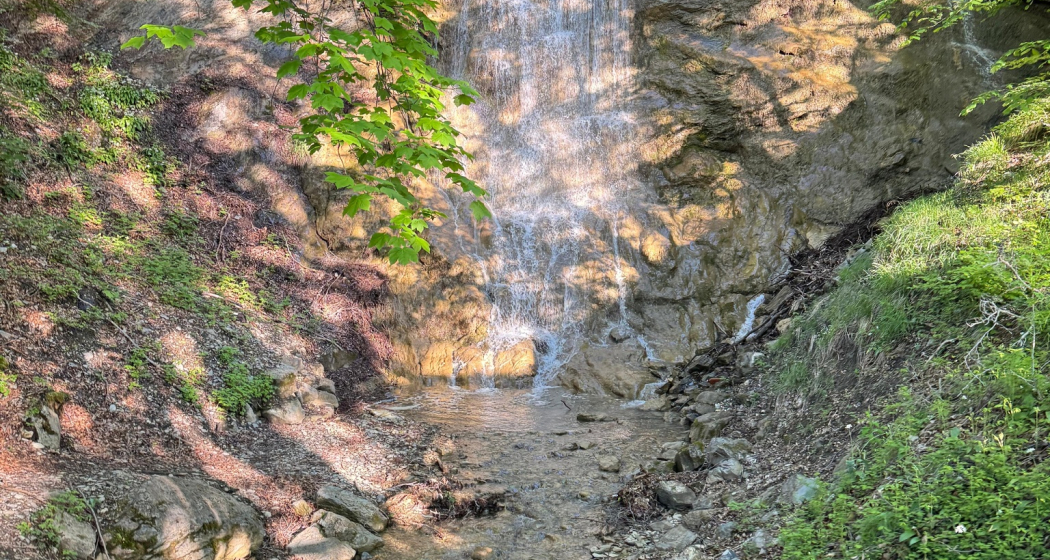 Trail- Route: Palfries Lanaberg Trail- Route: Palfries Lanaberg