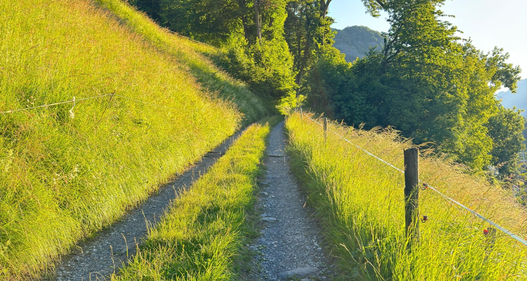 Trail- Route: Palfries Lanaberg Trail- Route: Palfries Lanaberg
