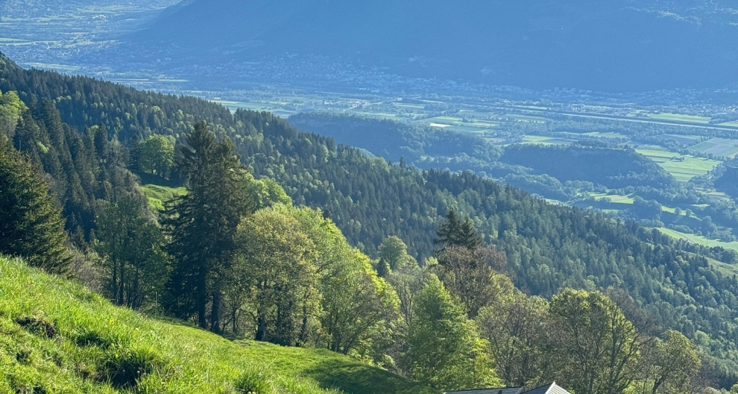 Trail- Route: Palfries Lanaberg Trail- Route: Palfries Lanaberg