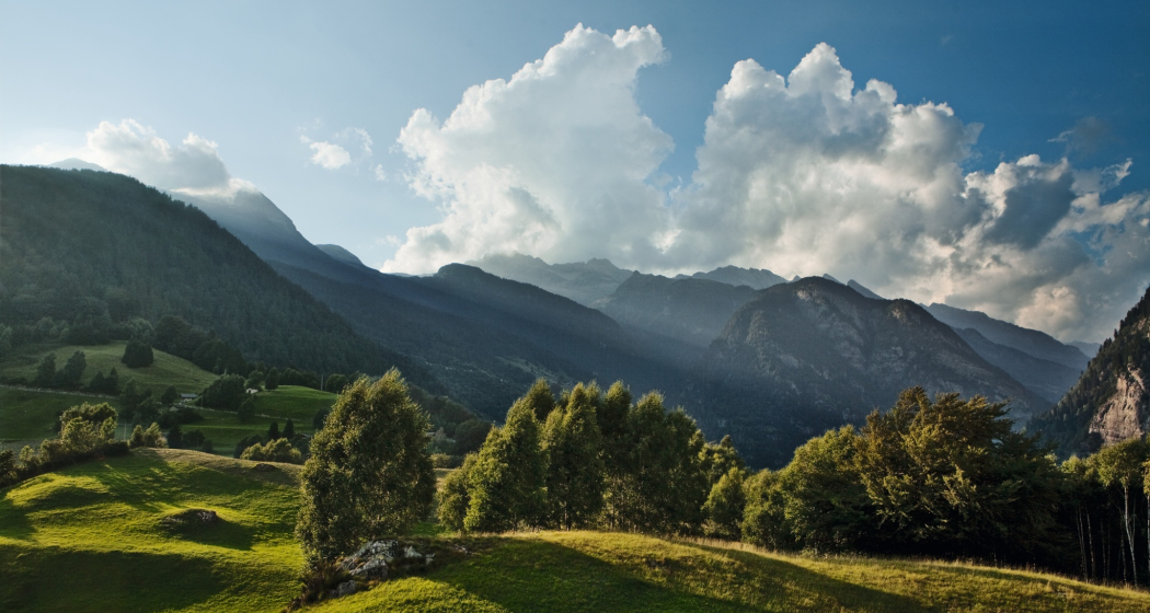 MTB Giova - Mesolcina (oua_613733132_image) MTB Giova - Mesolcina (oua_613733132_image)