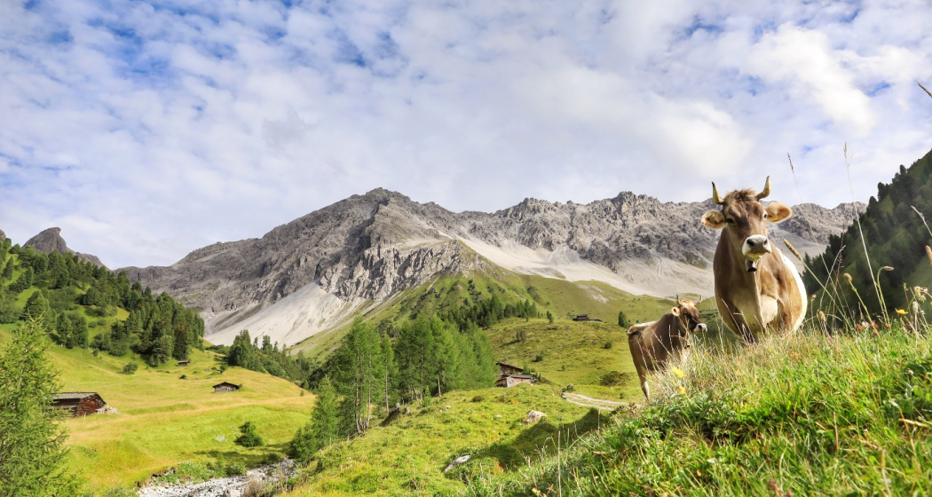 Monsteiner Bierpfad (oua_61585719_image)