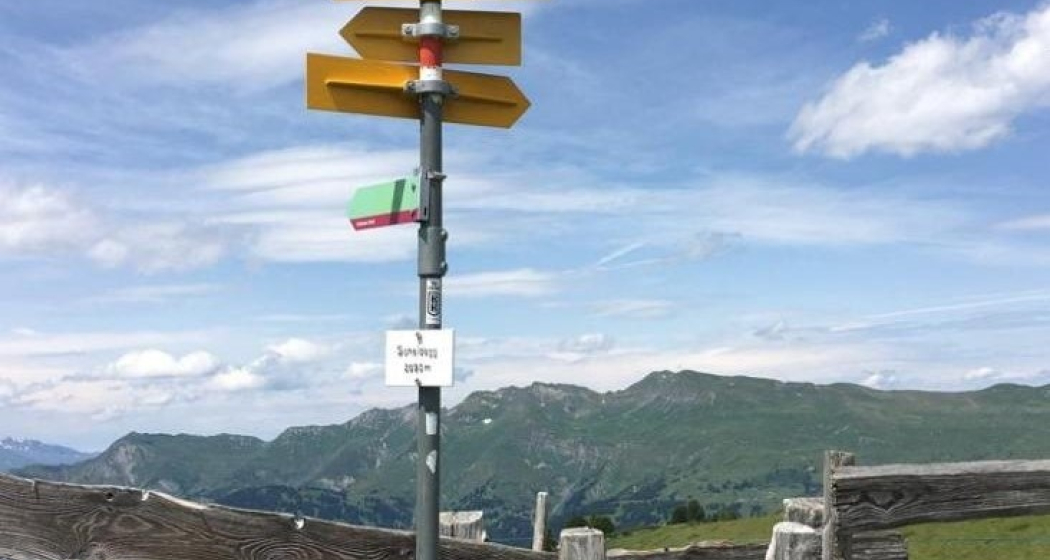 Schatzstation Scheidegg (Bärenbike-Schatzsuche) Schatzstation Scheidegg (Bärenbike-Schatzsuche)