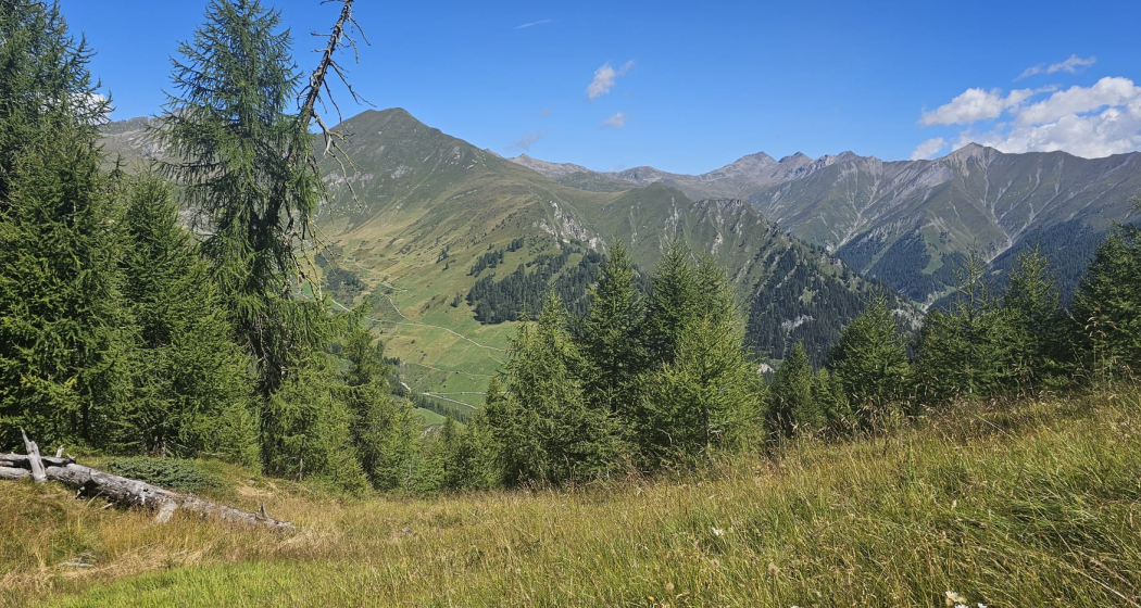 Schäfersteig Schäfersteig