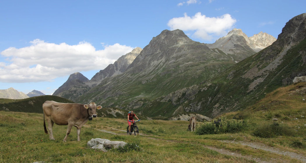 Chamanna Jenatsch SAC (oua_620271102_image)