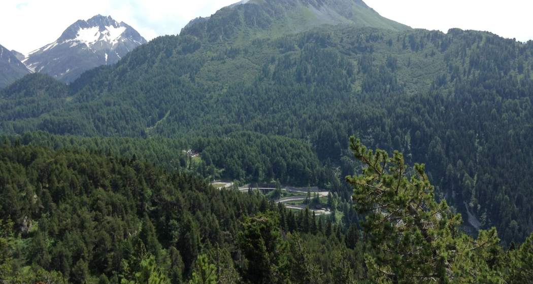 Malojapass (oua_620278997_image)