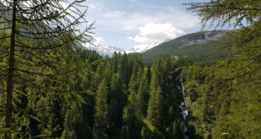 Sitzbank eingangs Fextal (oua_620279270_image) Sitzbank eingangs Fextal (oua_620279270_image)