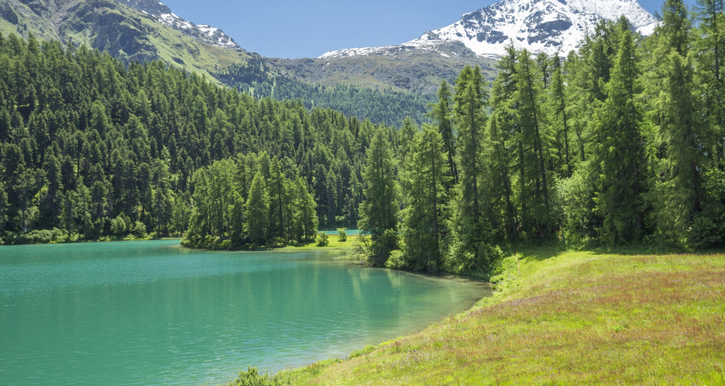 Lej da Champfèr (oua_620279728_image)