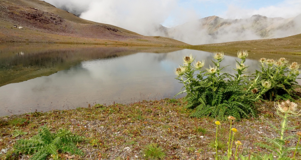 Lej da la Pêsch (oua_620279858_image)