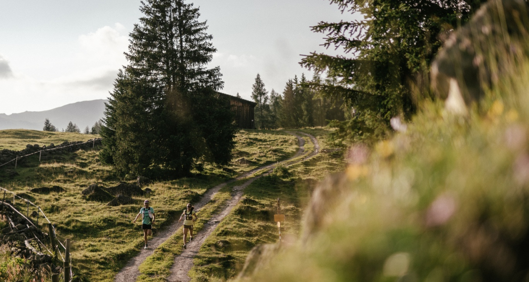 Drusatscha (oua_62201703_image) Drusatscha (oua_62201703_image)