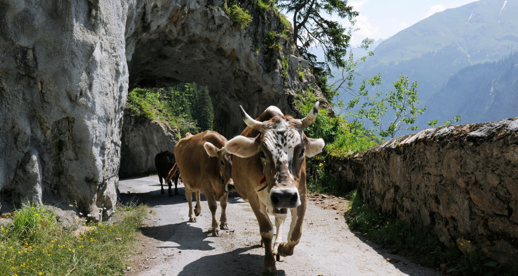 Alprestaurant Siez (oua_622367591_image)