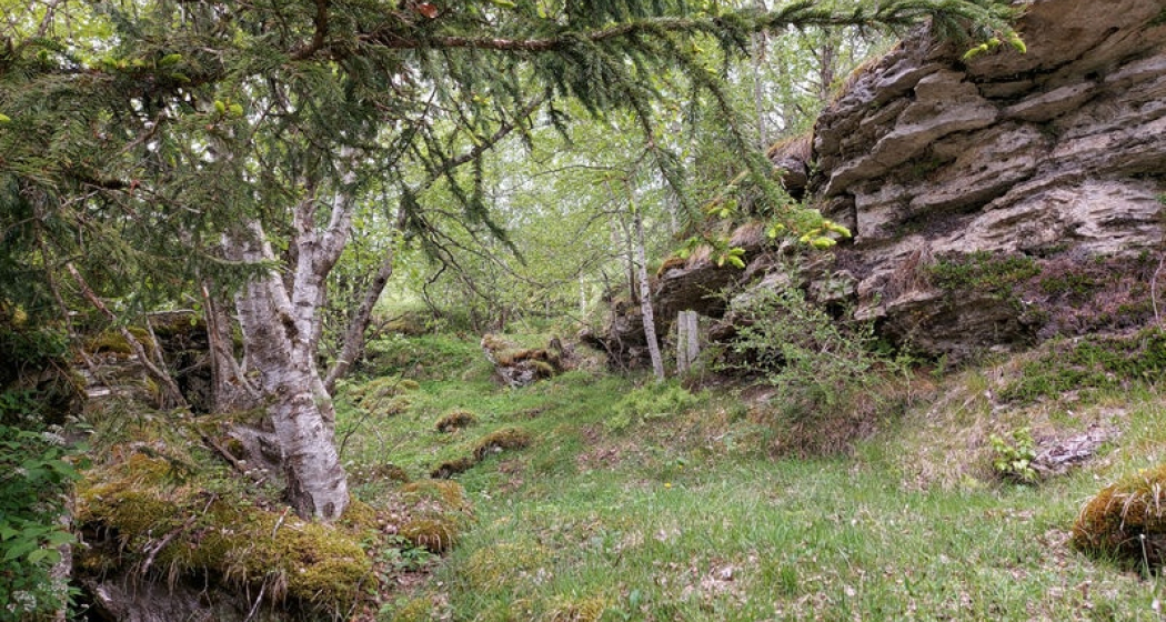Tufflandschaft, Vignogn (oua_62428081_image) Tufflandschaft, Vignogn (oua_62428081_image)