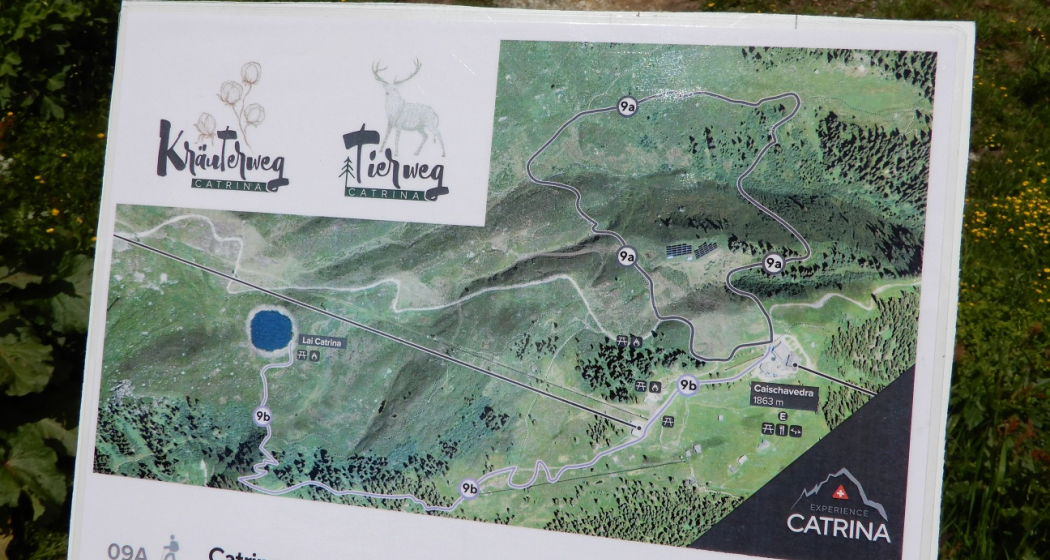 Start Tierweg in Caischavedra