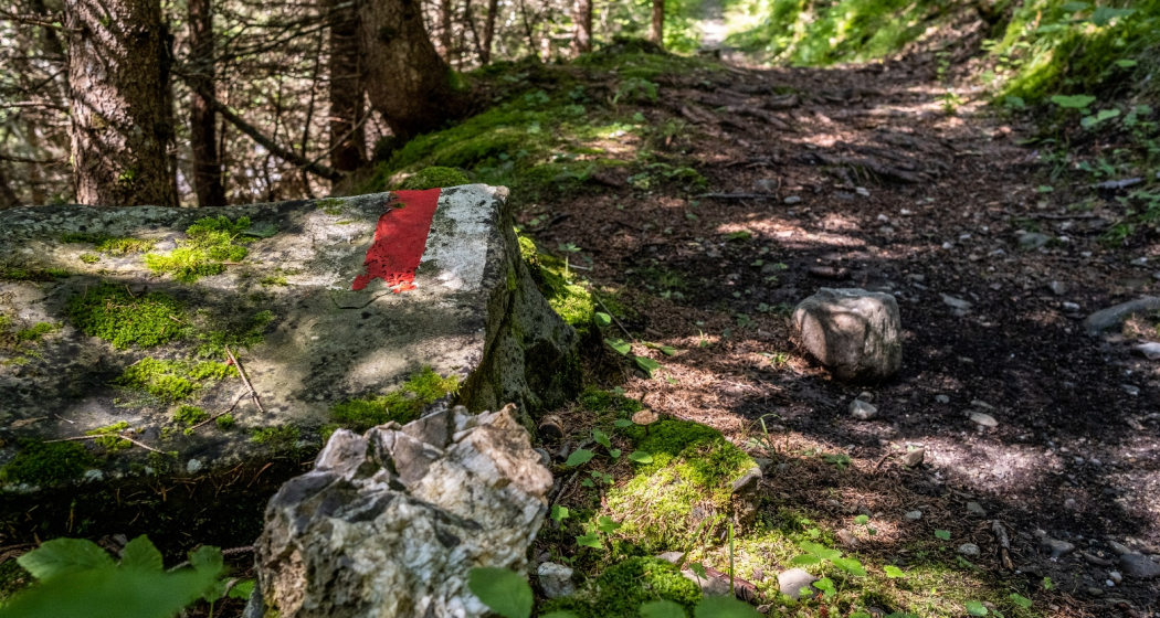 Pagig-Castiel_Schanfigger Dörferweg Pagig-Castiel_Schanfigger Dörferweg