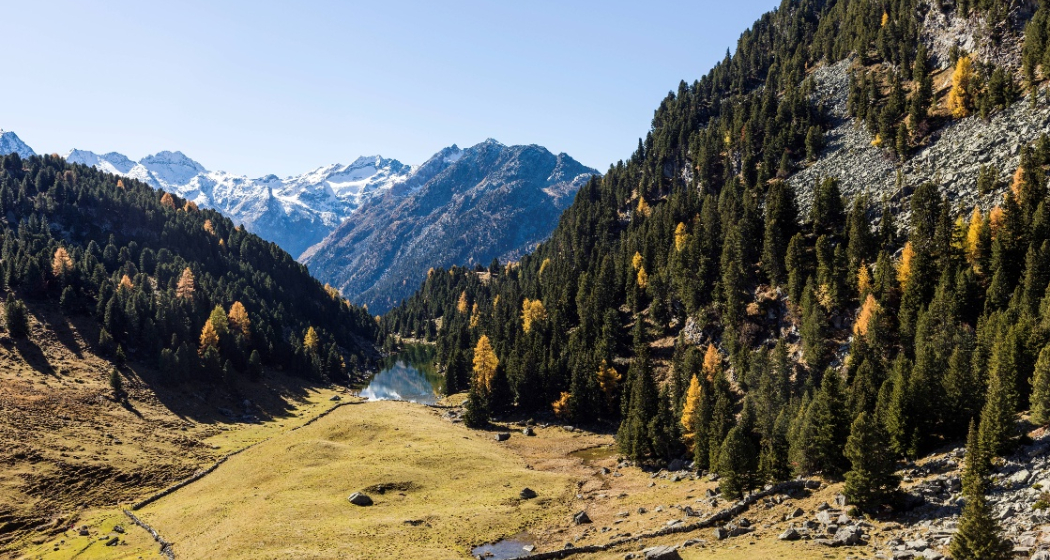 Der Lai Lung im Herbst