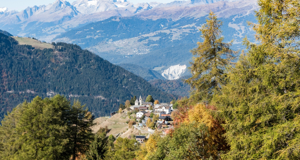 Feldis im Herbst Feldis im Herbst