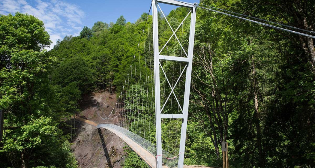 Hängebrücke Schlappintobel (oua_63827127_image) Hängebrücke Schlappintobel (oua_63827127_image)