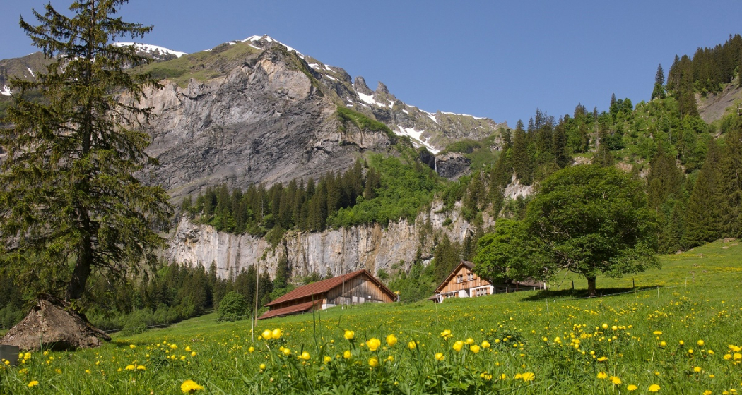 Alp Walabütz Alp Walabütz